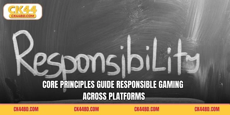 Core principles guide Responsible Gaming across platforms