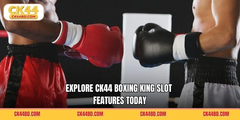 Explore CK44 Boxing King slot features today