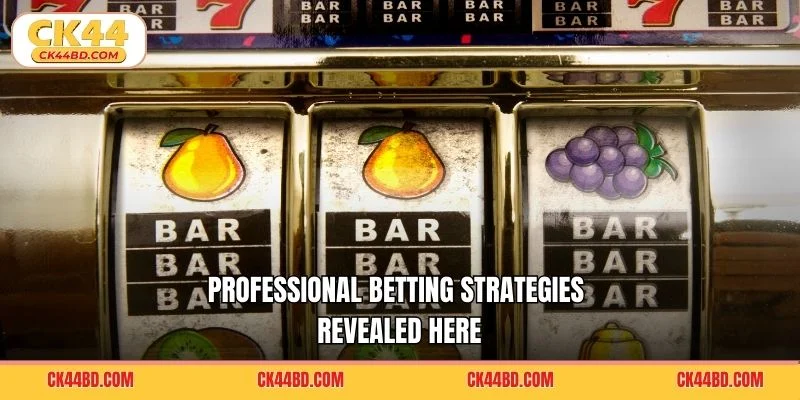 Professional betting strategies revealed here