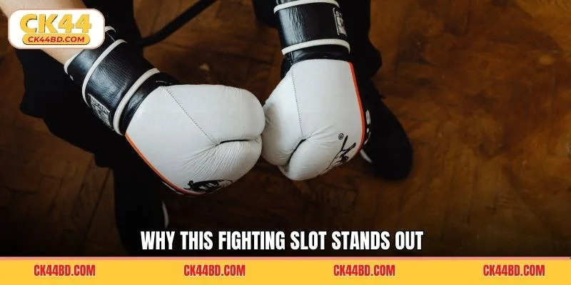 Why this fighting slot stands out